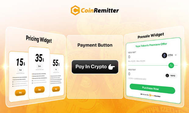 Brief Overview of CoinRemitter Widgets: Are They Perfect for Crypto Payment Integration?