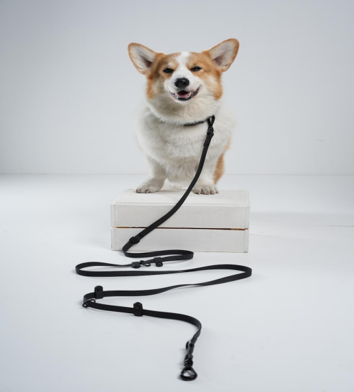 Every Walk: Why an Anti-Pull Dog Harness Is a Game-Changer for Pet Owners Looking for Dog Quality Products