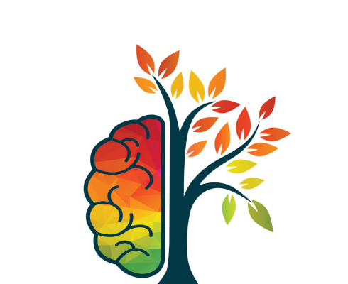 Bristol’s best training can help you start your career as a hypnotherapist.
